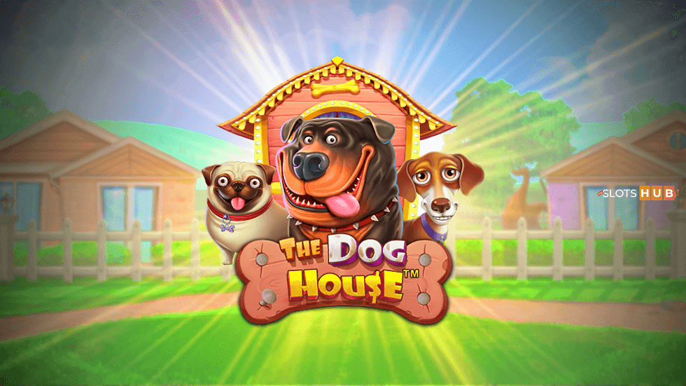 dog house slot png
